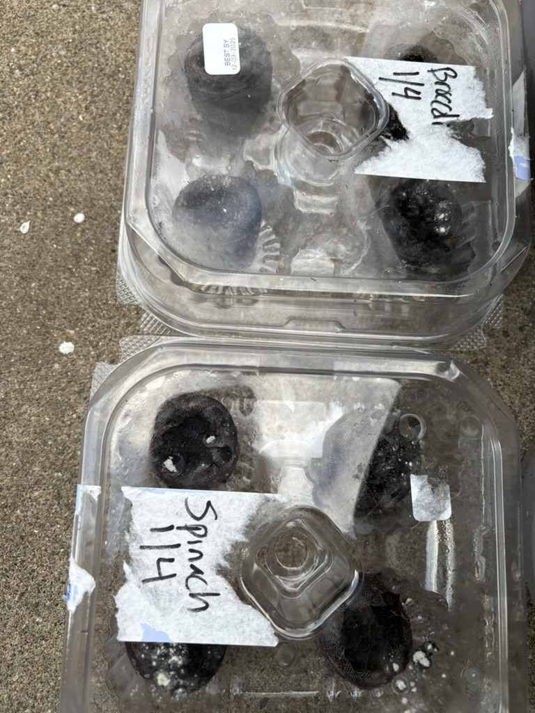 post image (replace in `content` or remove it)